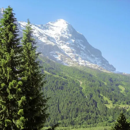 Almis 5 By Interhome Lejlighed Grindelwald