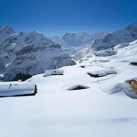 Lejlighed Almis 5 By Interhome Grindelwald