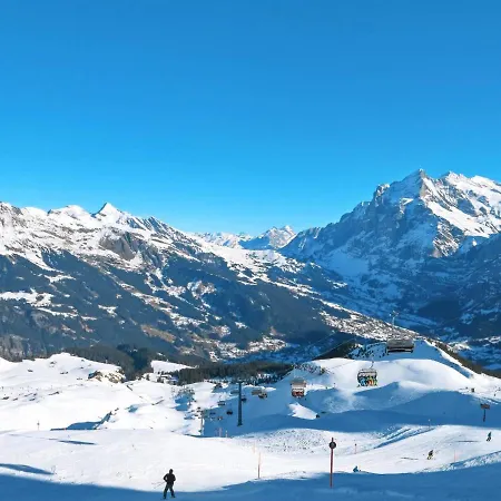 Almis 5 By Interhome Grindelwald
