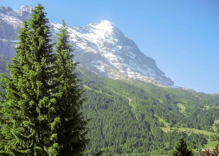 Almis 5 By Interhome Lejlighed Grindelwald