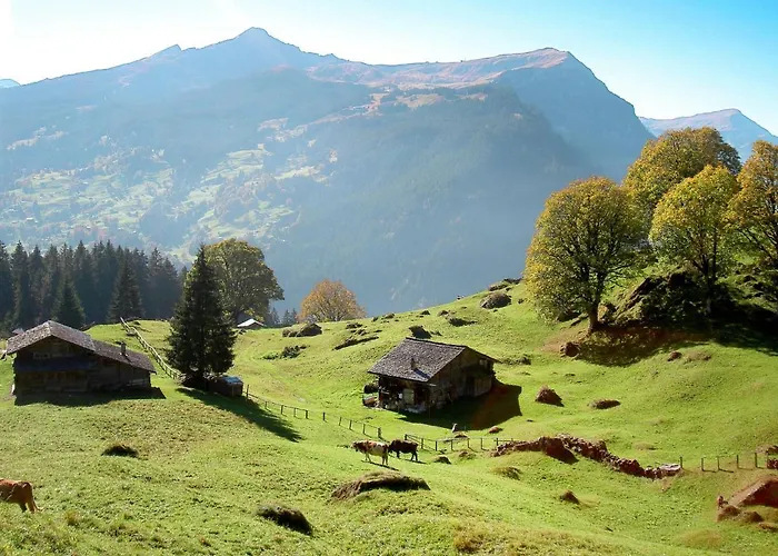 Almis 5 By Interhome Lejlighed *