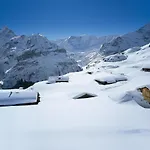 Apartment Apartment Chalet Almis 5 By Interhome Grindelwald