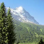 Almis 5 By Interhome Apartmán Grindelwald